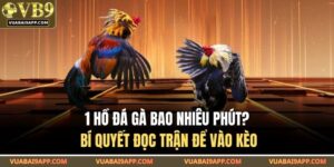 1 Hồ Đá Gà Bao Nhiêu Phút? Bí Quyết Đọc Trận Để Vào Kèo 10 1 hồ đá gà bao nhiêu phút