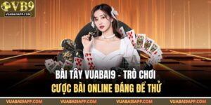 Bài Tây VUABAI9 – Trò Chơi Cược Bài Online Đáng Để Thử 8 Bài Tây VUABAI9