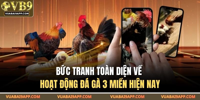 Bức tranh toàn diện về hoạt động đá gà 3 miền hiện nay