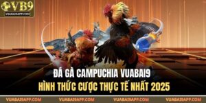 Đá Gà Campuchia VUABAI9 – Hình Thức Cược Thực Tế Nhất 2025 9 Đá gà Campuchia