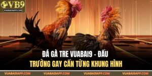 Đá Gà Tre VUABAI9 – Đấu Trường Gay Cấn Từng Khung Hình 6 Đá gà tre VUABAI9