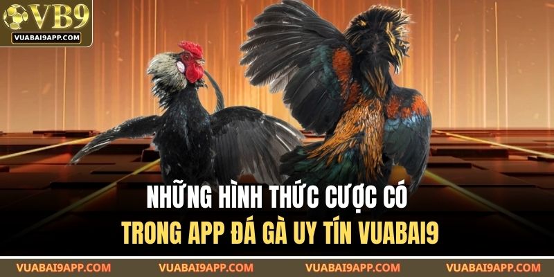 Những hình thức cược có trong app đá gà uy tín VUABAI9